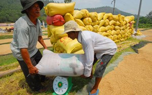 เพิ่มมูลค่าข้าวส่งออกของเวียดนาม